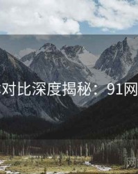 多版本对比深度揭秘：91网全纪录