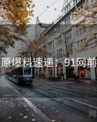 数据还原爆料速递：91网前因后果