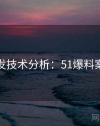 平台首发技术分析：51爆料案例解读