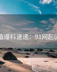 商业价值爆料速递：91网起因与影响