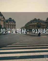 安全风险深度揭秘：91网起底真相
