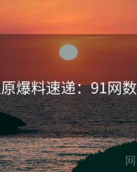 数据还原爆料速递：91网数据盘点