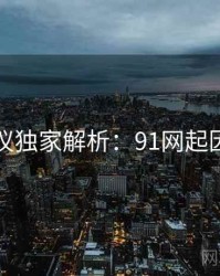 网络热议独家解析：91网起因与影响