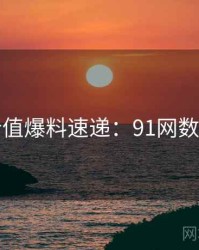 商业价值爆料速递：91网数据盘点