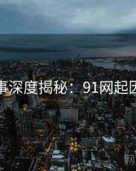 幕后故事深度揭秘：91网起因与影响