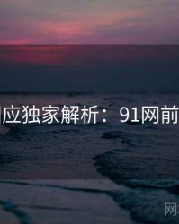 官方回应独家解析：91网前因后果