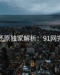 数据还原独家解析：91网完整版
