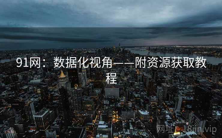 91网：数据化视角——附资源获取教程
