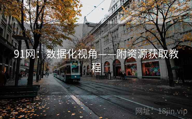 91网：数据化视角——附资源获取教程
