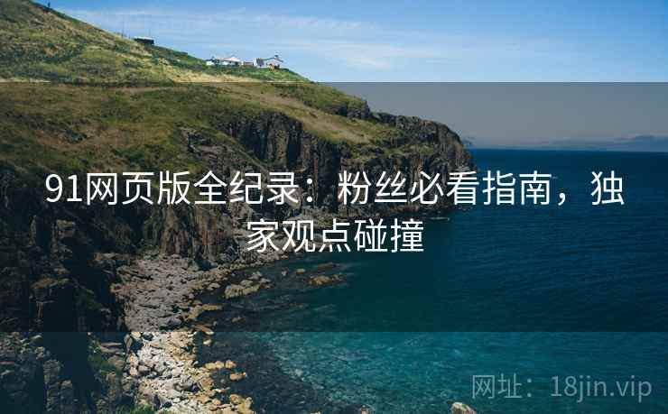 91网页版全纪录：粉丝必看指南，独家观点碰撞