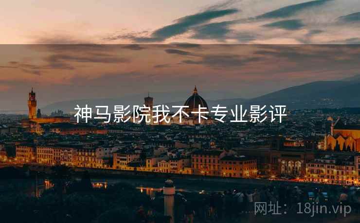 神马影院我不卡专业影评