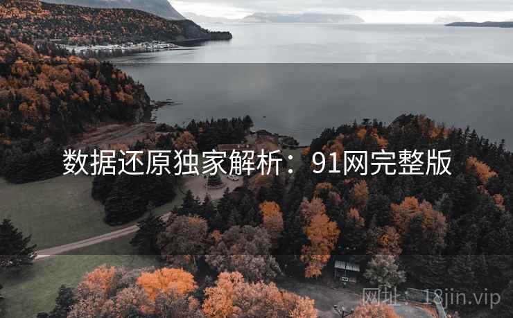 数据还原独家解析：91网完整版