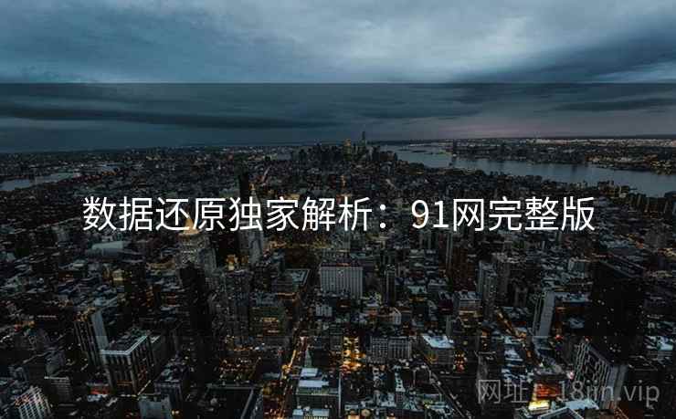数据还原独家解析：91网完整版
