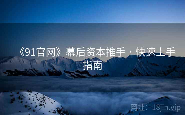 《91官网》幕后资本推手 · 快速上手指南