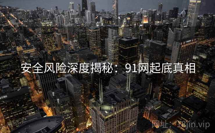 安全风险深度揭秘：91网起底真相