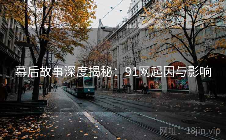 幕后故事深度揭秘：91网起因与影响
