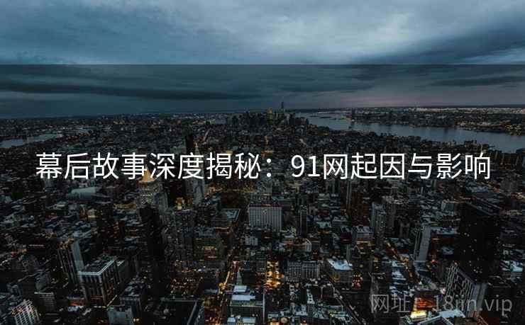 幕后故事深度揭秘：91网起因与影响