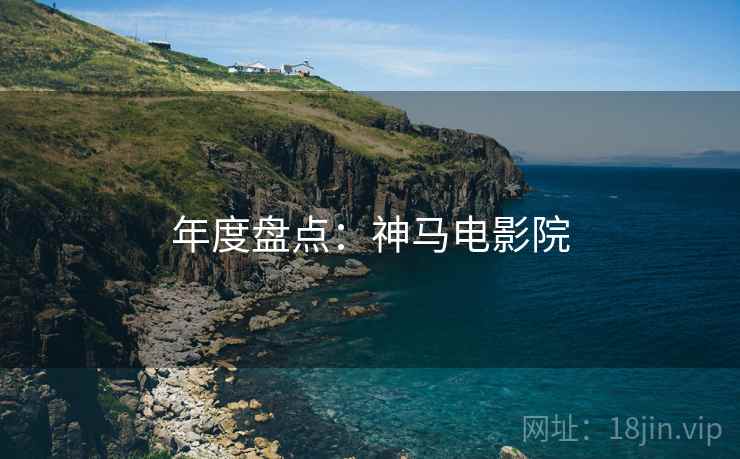 年度盘点：神马电影院