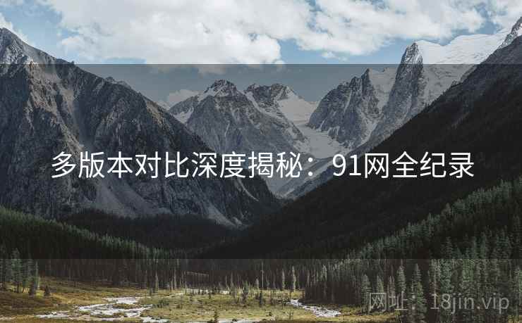 多版本对比深度揭秘：91网全纪录